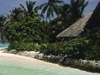Family Fiji Islands by Helicopter